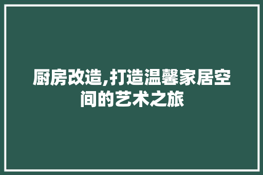 厨房改造,打造温馨家居空间的艺术之旅