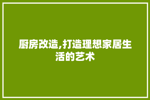 厨房改造,打造理想家居生活的艺术