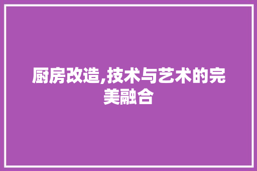 厨房改造,技术与艺术的完美融合