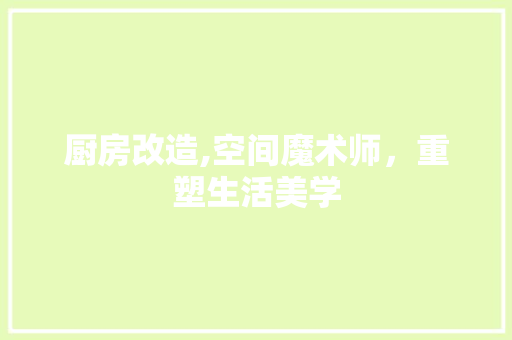 厨房改造,空间魔术师，重塑生活美学