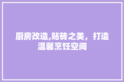 厨房改造,贴砖之美，打造温馨烹饪空间