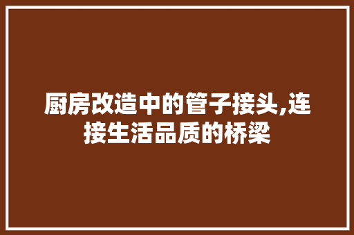 厨房改造中的管子接头,连接生活品质的桥梁 建筑设计