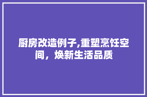厨房改造例子,重塑烹饪空间,焕新生活品质 装修攻略 厨房改造例子,重塑烹饪空间,焕新生活品质 装修攻略