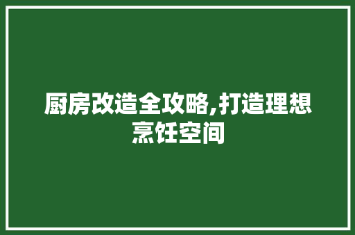 厨房改造全攻略,打造理想烹饪空间