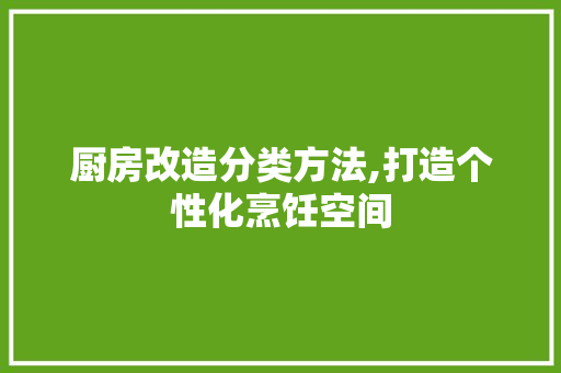 厨房改造分类方法,打造个性化烹饪空间