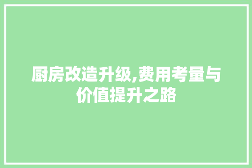 厨房改造升级,费用考量与价值提升之路