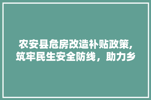 农安县危房改造补贴政策,筑牢民生安全防线，助力乡村振兴