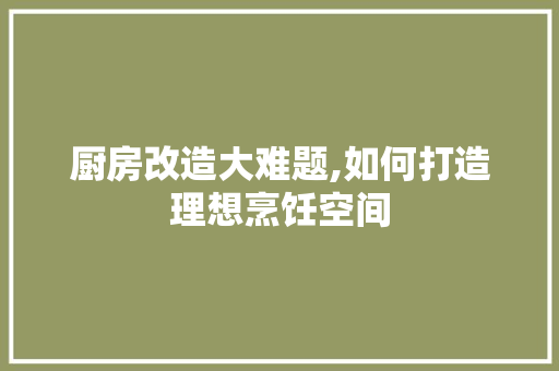 厨房改造大难题,如何打造理想烹饪空间