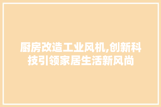厨房改造工业风机,创新科技引领家居生活新风尚