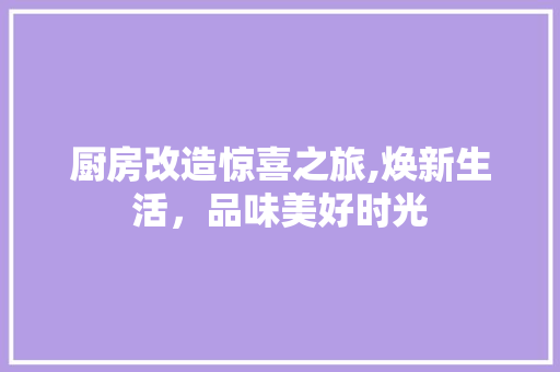 厨房改造惊喜之旅,焕新生活，品味美好时光