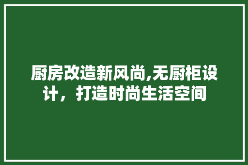 厨房改造新风尚,无厨柜设计，打造时尚生活空间