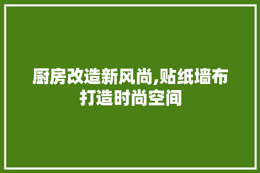 厨房改造新风尚,贴纸墙布打造时尚空间