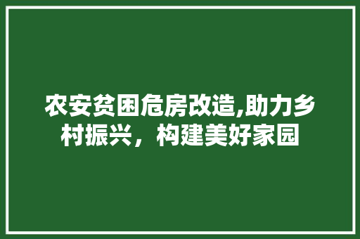 农安贫困危房改造,助力乡村振兴，构建美好家园
