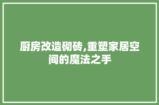厨房改造砌砖,重塑家居空间的魔法之手