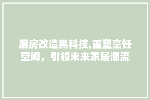 厨房改造黑科技,重塑烹饪空间，引领未来家居潮流