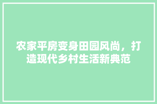 农家平房变身田园风尚，打造现代乡村生活新典范 景观设计