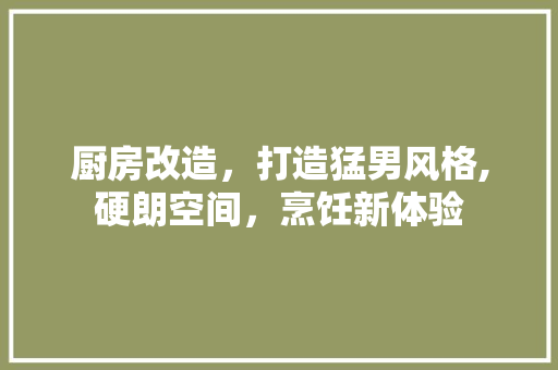 厨房改造，打造猛男风格,硬朗空间，烹饪新体验