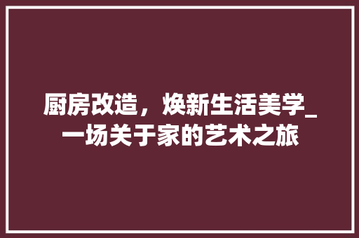 厨房改造，焕新生活美学_一场关于家的艺术之旅