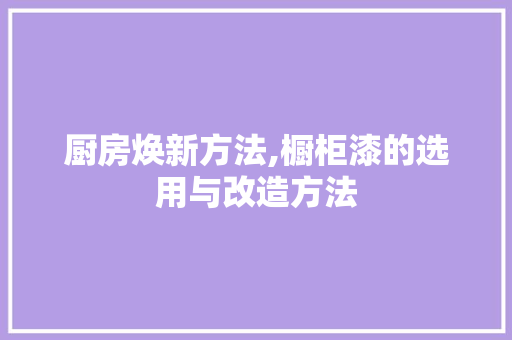 厨房焕新方法,橱柜漆的选用与改造方法