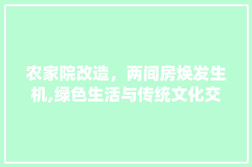 农家院改造，两间房焕发生机,绿色生活与传统文化交融的典范