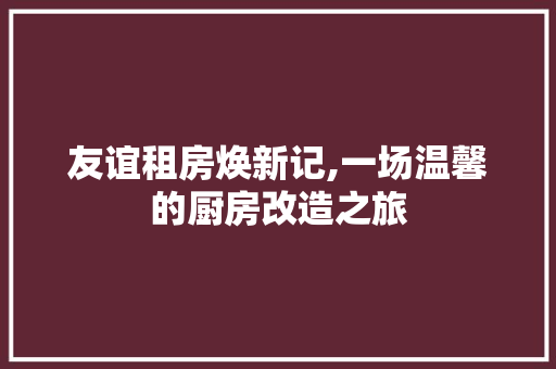友谊租房焕新记,一场温馨的厨房改造之旅