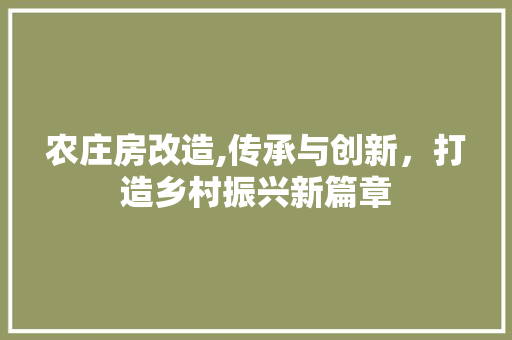 农庄房改造,传承与创新，打造乡村振兴新篇章 装修材料