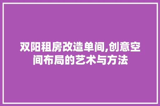 双阳租房改造单间,创意空间布局的艺术与方法