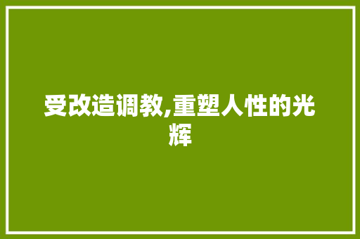 受改造调教,重塑人性的光辉