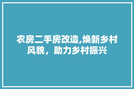 农房二手房改造,焕新乡村风貌，助力乡村振兴