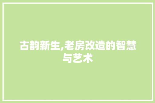 古韵新生,老房改造的智慧与艺术