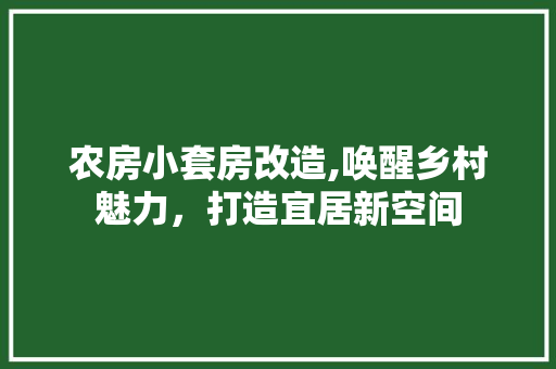 农房小套房改造,唤醒乡村魅力，打造宜居新空间