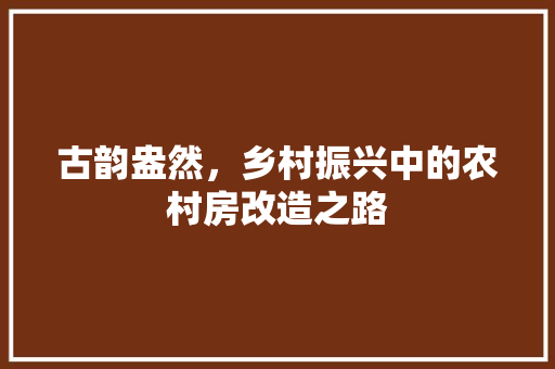 古韵盎然，乡村振兴中的农村房改造之路 地面装修
