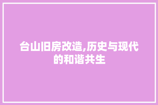 台山旧房改造,历史与现代的和谐共生