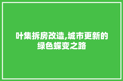 叶集拆房改造,城市更新的绿色蝶变之路