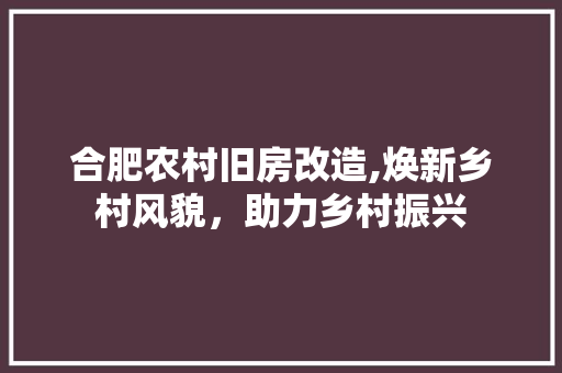 合肥农村旧房改造,焕新乡村风貌，助力乡村振兴