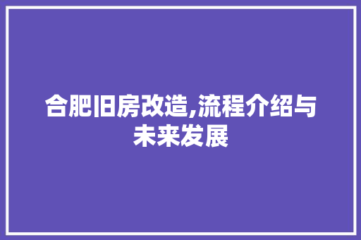 合肥旧房改造,流程介绍与未来发展
