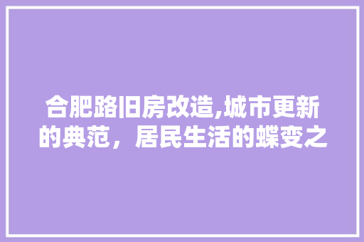 合肥路旧房改造,城市更新的典范，居民生活的蝶变之旅