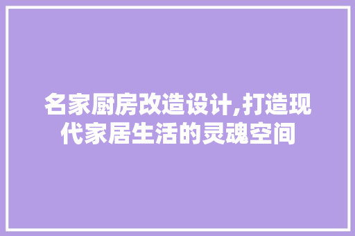 名家厨房改造设计,打造现代家居生活的灵魂空间