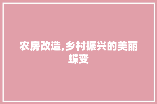 农房改造,乡村振兴的美丽蝶变