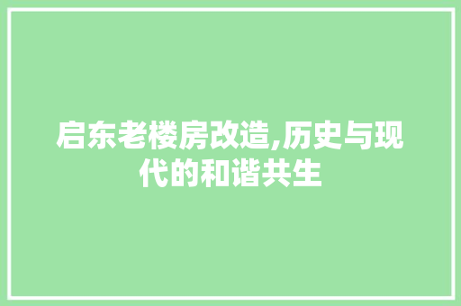 启东老楼房改造,历史与现代的和谐共生
