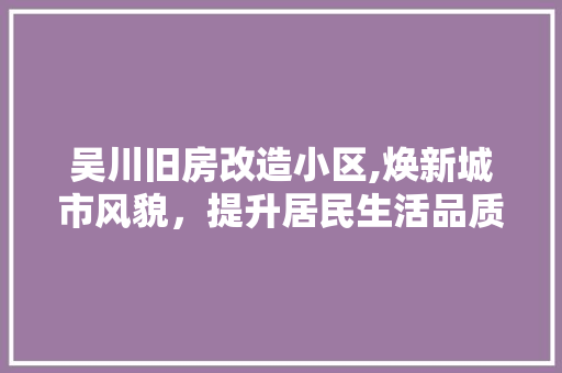 吴川旧房改造小区,焕新城市风貌，提升居民生活品质