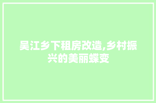 吴江乡下租房改造,乡村振兴的美丽蝶变