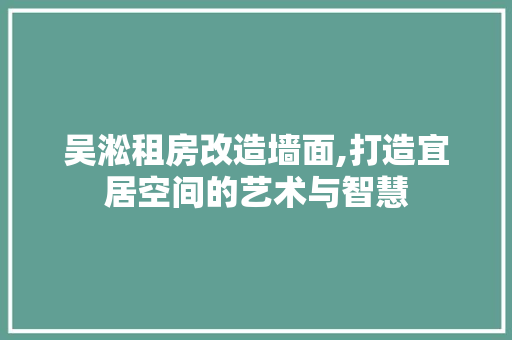 吴淞租房改造墙面,打造宜居空间的艺术与智慧 地面装修