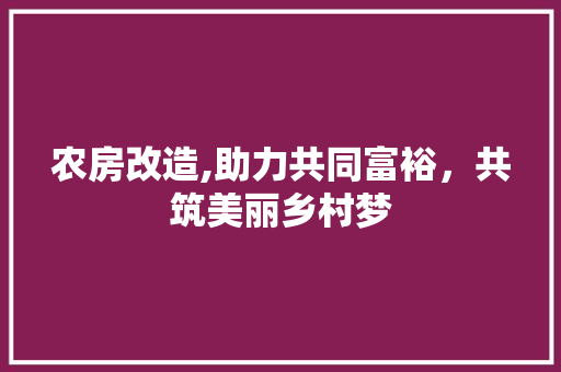 农房改造,助力共同富裕，共筑美丽乡村梦