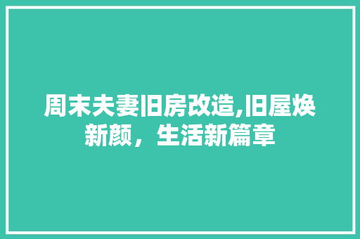 周末夫妻旧房改造,旧屋焕新颜，生活新篇章 庭院装修
