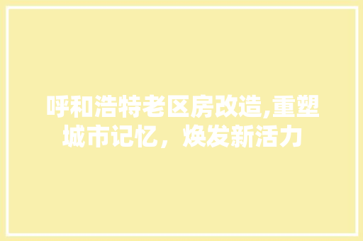 呼和浩特老区房改造,重塑城市记忆，焕发新活力