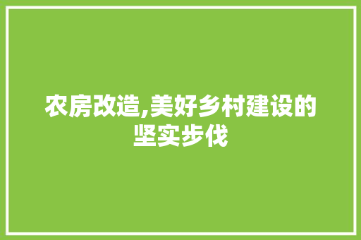 农房改造,美好乡村建设的坚实步伐