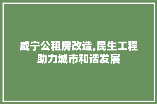 咸宁公租房改造,民生工程助力城市和谐发展