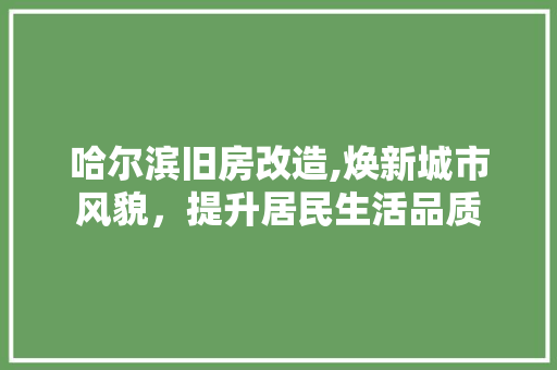 哈尔滨旧房改造,焕新城市风貌，提升居民生活品质