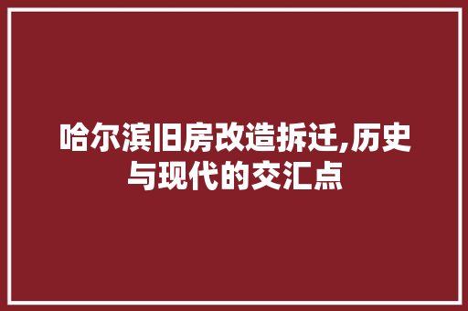哈尔滨旧房改造拆迁,历史与现代的交汇点